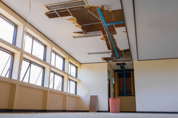 Best Fire Damage Restoration  in Highland Lakes, AL