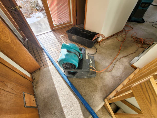 Best Sewage cleanup and water damage restoration  in Highland Lakes, AL