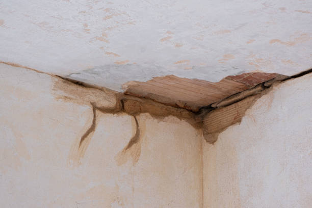 Best Water damage restoration experts  in Highland Lakes, AL