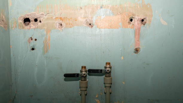 Best Emergency water damage restoration  in Highland Lakes, AL