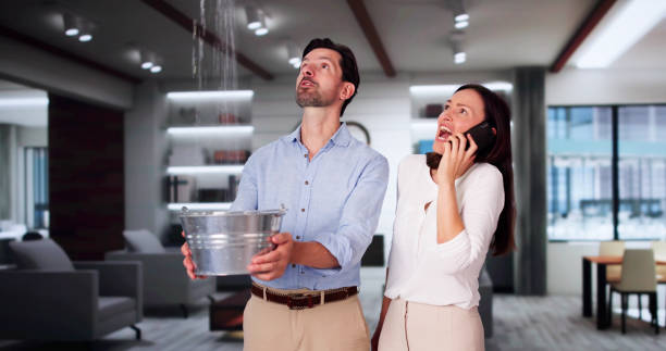 Water damage restoration experts in AL